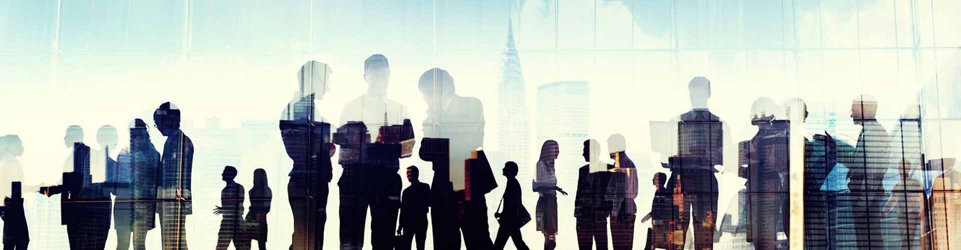 Management Team